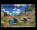 Beddgelert Fridge Magnet 80mm x 60mm