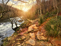 Rapids on a river with trees and rocks during sunset