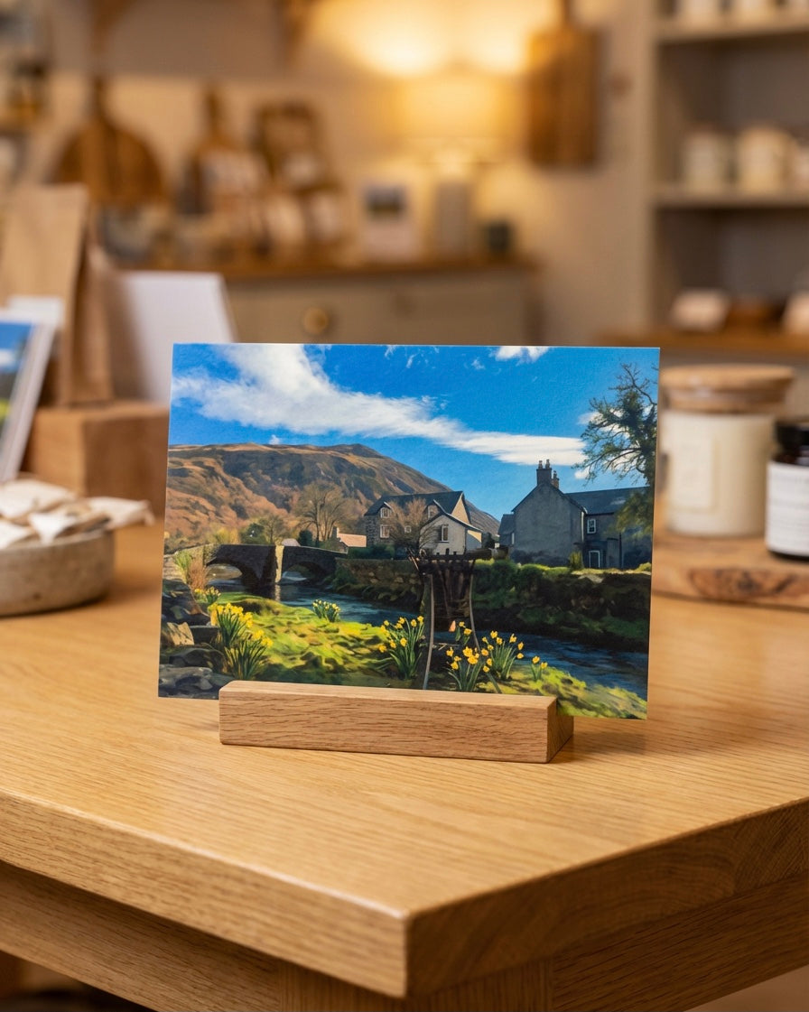 Introductory pack of 5 cards.