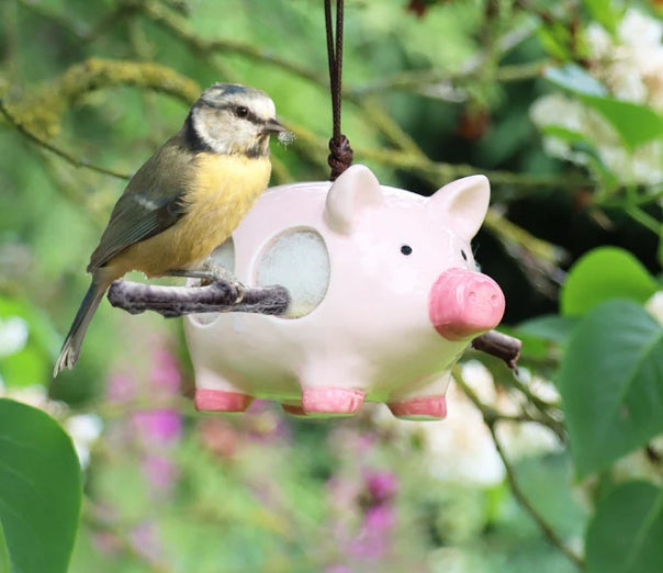 Curlie Hanging Ceramic Pig With Nesting Wool - FREE SHIPPING